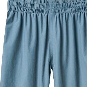 Брюки технологичные Wheat, дельфиний голубой